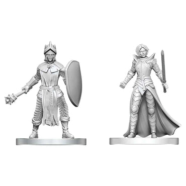 D&D: Nolzur's Marvelous Miniatures: Black Gauntlet & Zhentilar Paladin of Bane