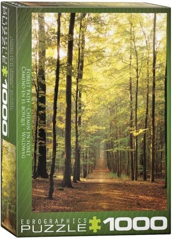 Forest Path