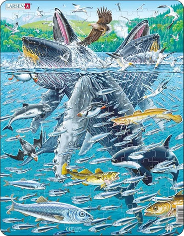 Larsen Puzzles Humpback Whales 140 Piece Children's Jigsaw Puzzle