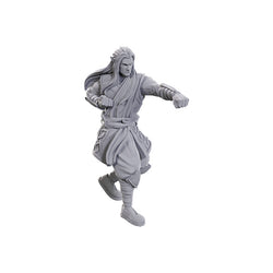 D&D Nolzur's Marvelous Miniatures: Unpainted Minis- Wave 24- Archdruid & Martial Arts Adept