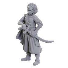 D&D: Nolzur's Marvelous Miniatures: Ansalon Human Rogue