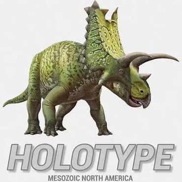 Holotype: Mexozoic North America