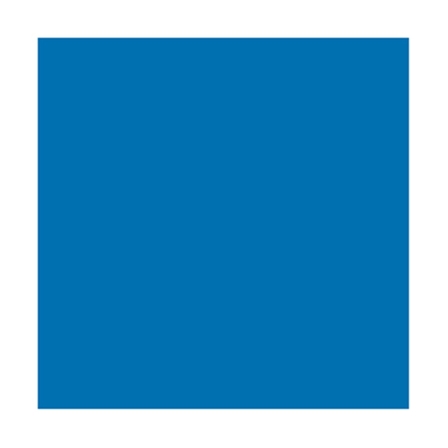 Model Color: Blue Fluorescent