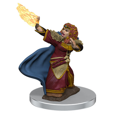 Hero: Premium Female Dwarf Wizard