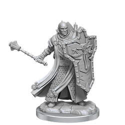 Dungeons & Dragons: Frameworks: Human Cleric Male