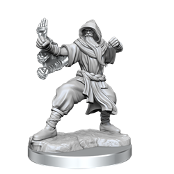 Dungeons & Dragons: Frameworks: Human Monk Male