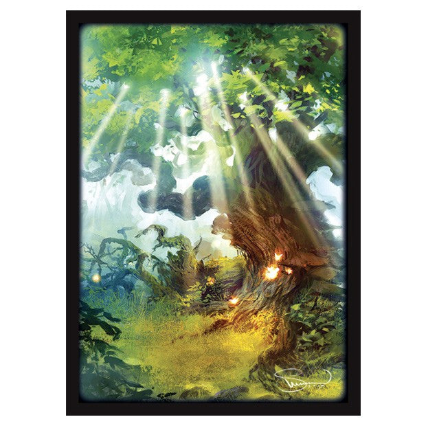 Lands Forest (50)