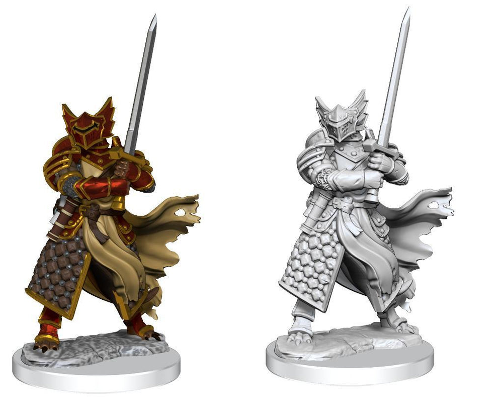 D&D Frameworks: Dragonborn Paladin Male
