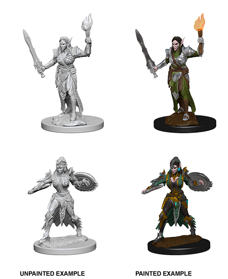 Hero: Elf Female Fighter