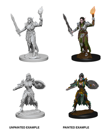 Hero: Elf Female Fighter
