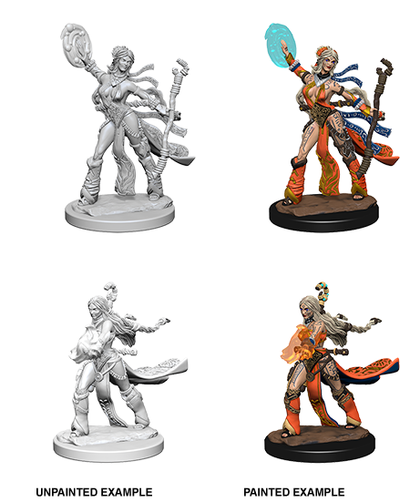 Hero: Human Sorcerer (Female)