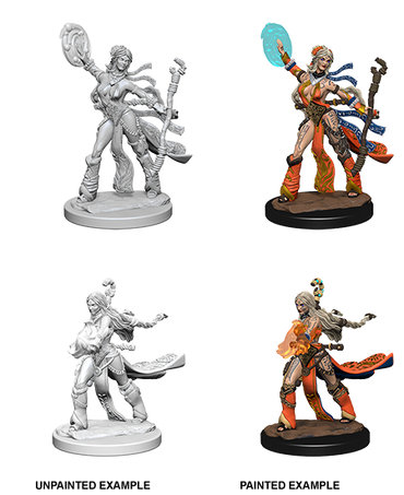 Hero: Human Sorcerer (Female)