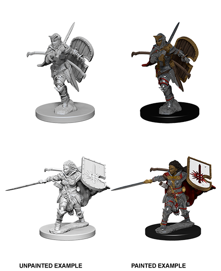 Hero: Human Paladin (Female)