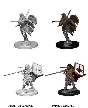 Hero: Human Paladin (Female)