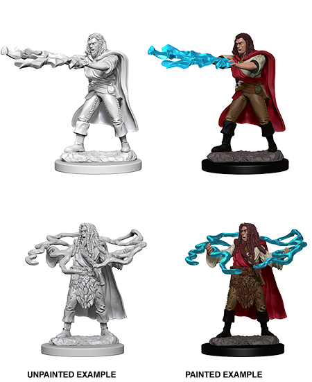 Hero: Human Sorcerer (Male)