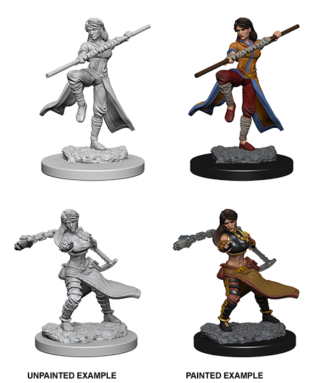 Hero: Human Monk (Female)