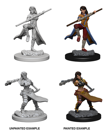 Hero: Human Monk (Female)