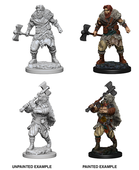 Hero: Human Barbarian (Male)