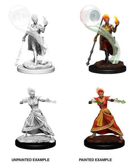 Hero: Genasi Wizard, Fire  (Female)