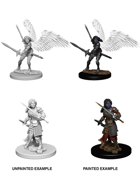 Hero: Aasimar Paladin (Female)