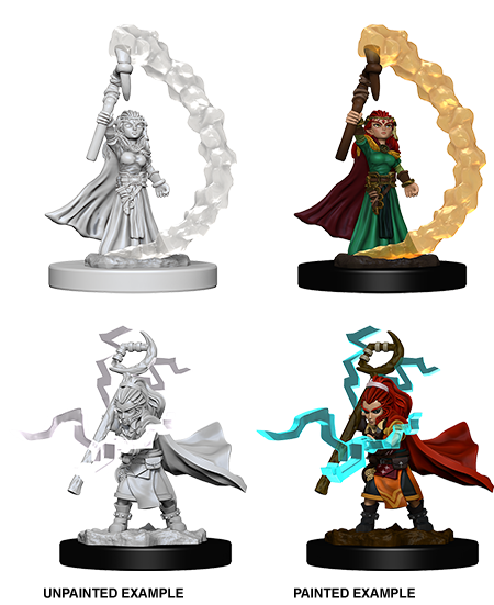 Hero: Gnome Sorcerer (Female)