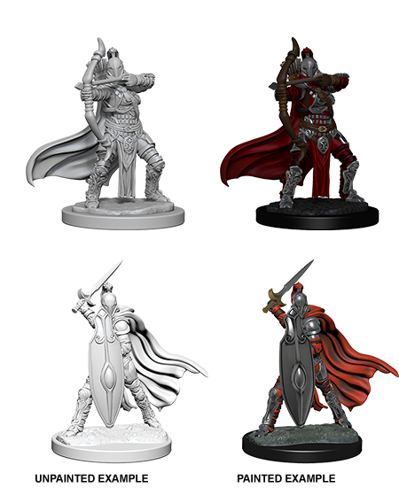 Monster: Female Knights / Gray Maidens