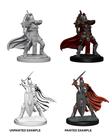 Monster: Female Knights / Gray Maidens