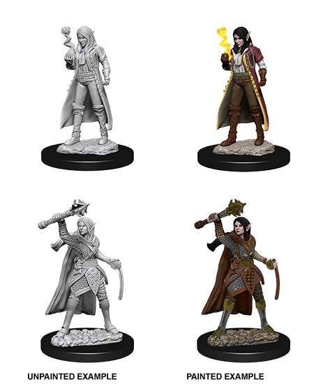 Hero: Elf Cleric (Female)