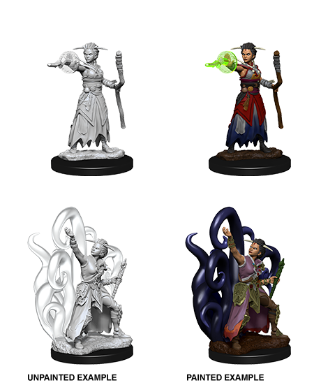 Hero: Human Warlock (Female)