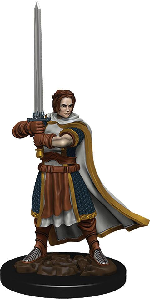 Hero: Premium: Human Cleric Male