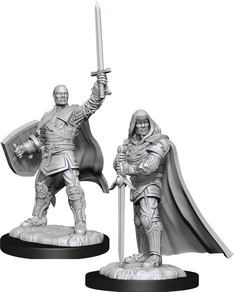 Hero: Human Paladin Male W13