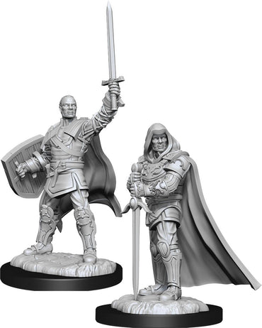 Hero: Human Paladin Male W13