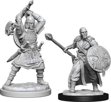 Hero: Human Barbarian Male W13
