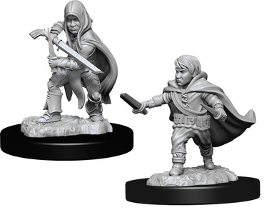 Hero: Halfling Rogue Male W13