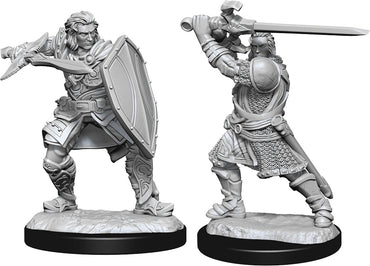 Hero: Human Paladin Male