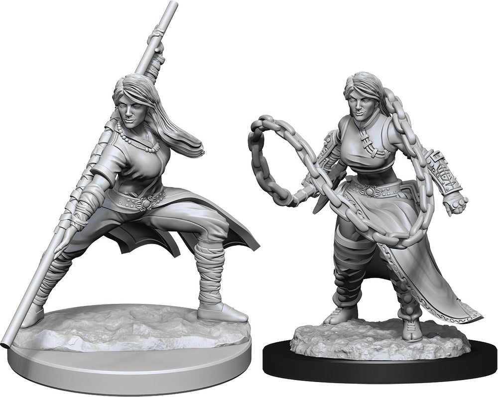 Hero: Human Monk Female