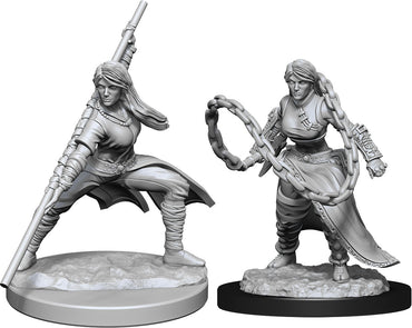 Hero: Human Monk Female