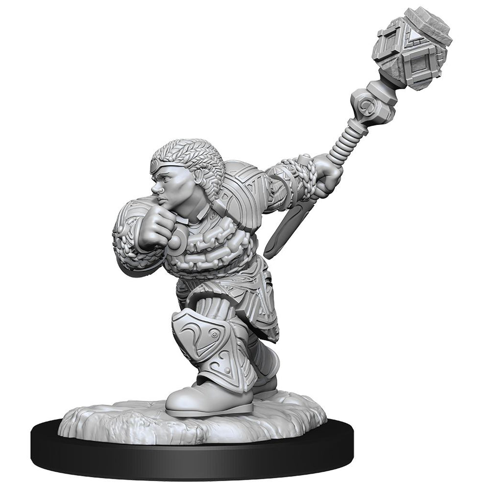 Hero: Dwarf Fighter & Dwarf Cleric