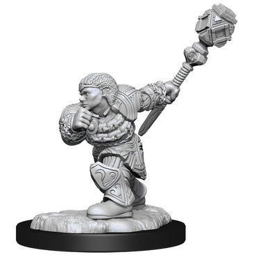 Hero: Dwarf Fighter & Dwarf Cleric