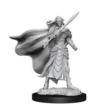 Hero: Elf Fighter & Elf Cleric