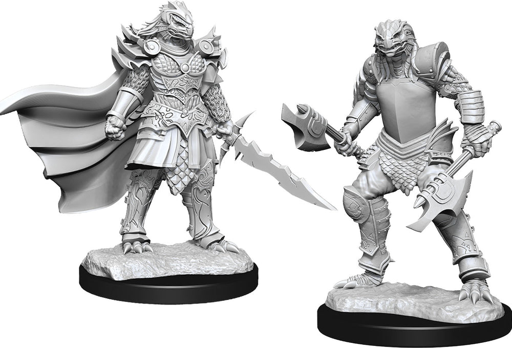 Hero: Dragonborn Fighter Female