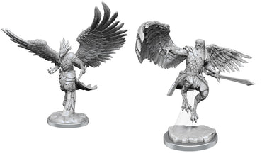 Hero: Aarakocra Paladin