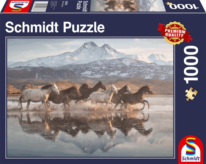 Puzzle: Horses in Cappadocia
