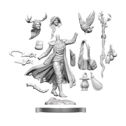 D&D Frameworks: Human Druid Female