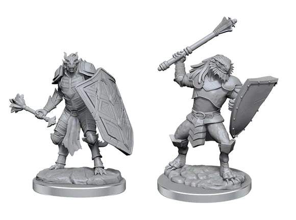 Hero: Dragonborn Clerics