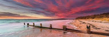 Puzzle: 1000 McCrae Beach, Mornington Peninsula, Victoria, Australia