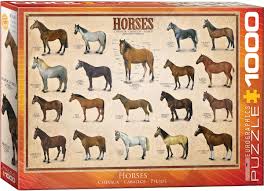 Horses 1000pc