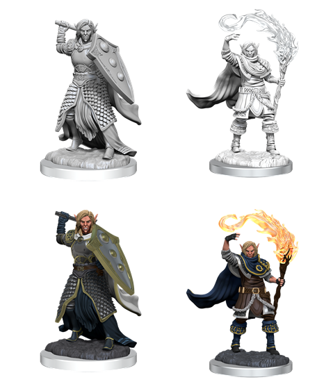 D&D: IR: Prem: Elf Cleric Male