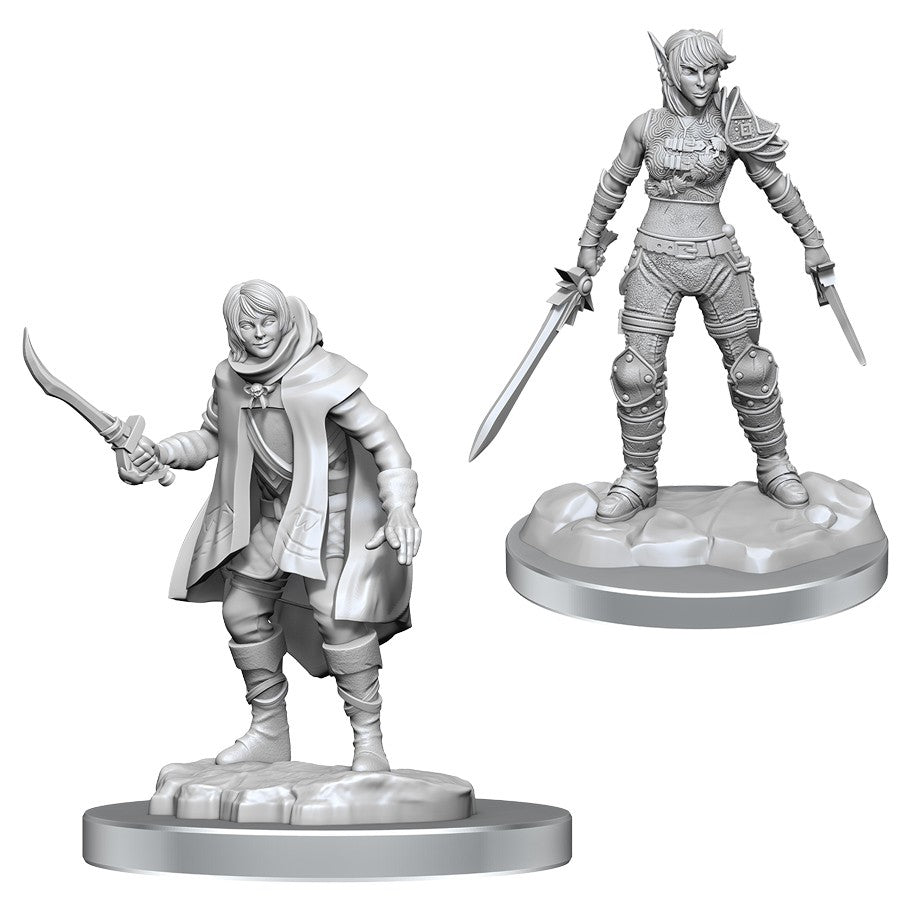 Hero: Elf Rogue Female