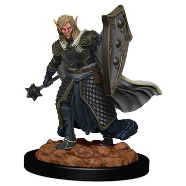D&D: IR: Prem: Elf Male Cleric